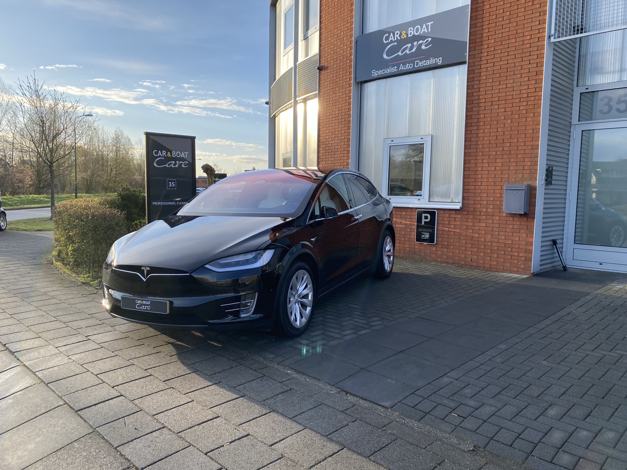 Tesla Model X Glascoating Silver Detailing